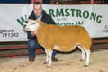 Lot 63